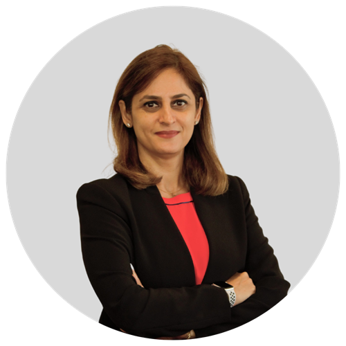 Dr Elham Tolouei